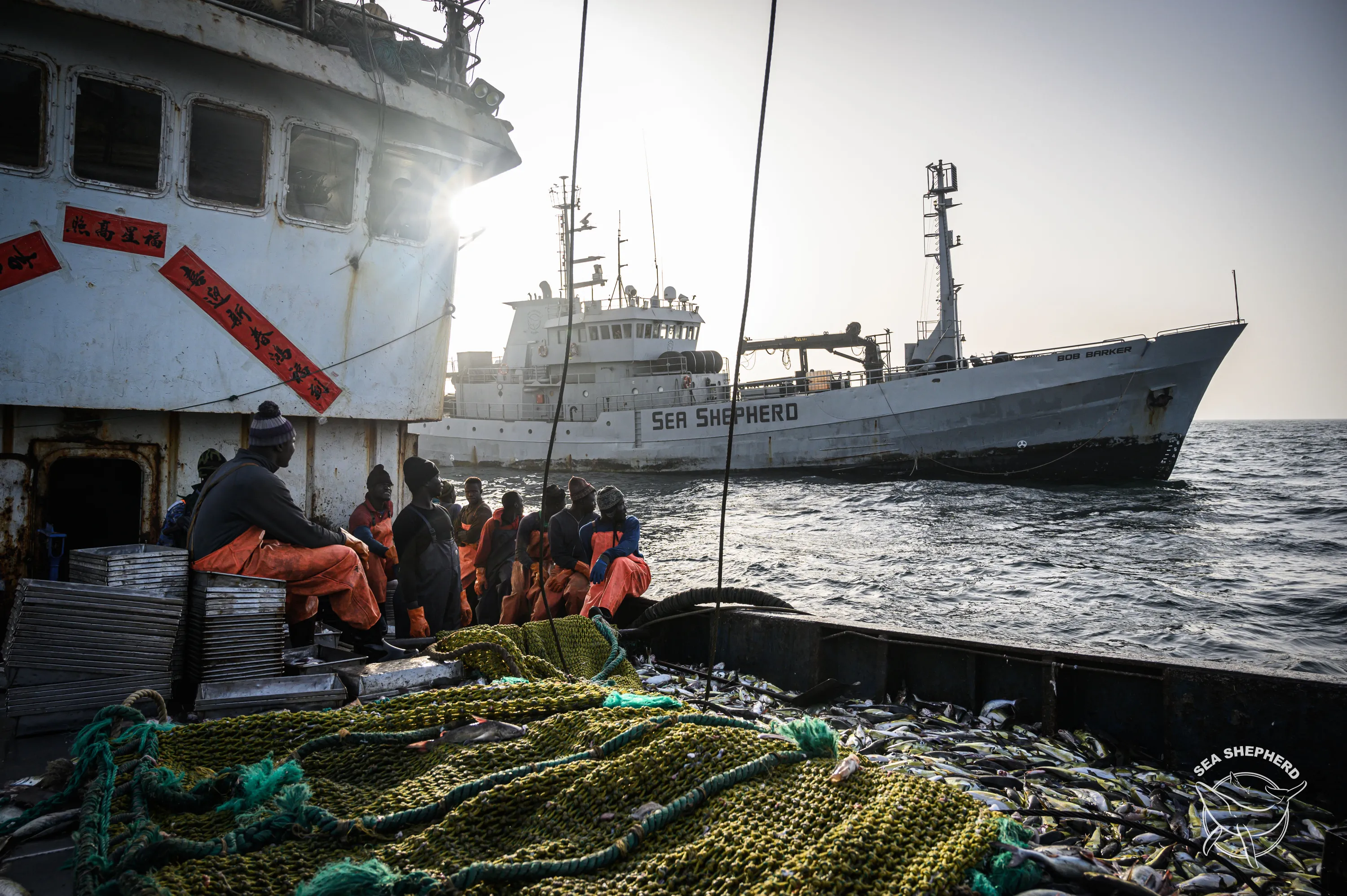 Sea Shepherd Campaigns 02