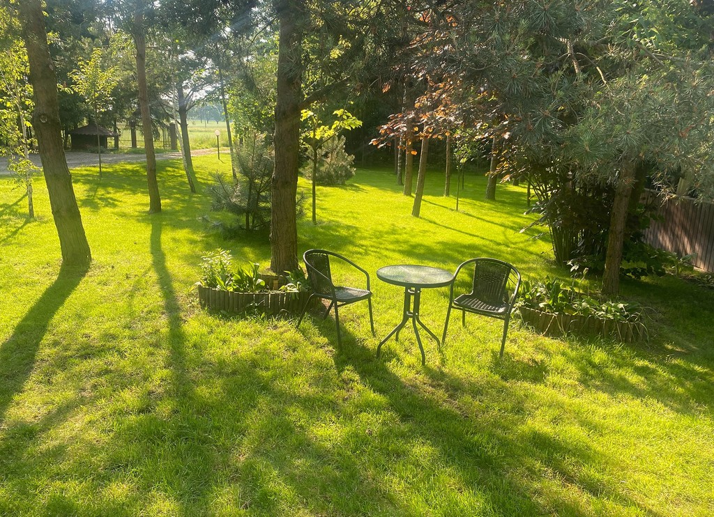 Piękny trawnik w lasku.