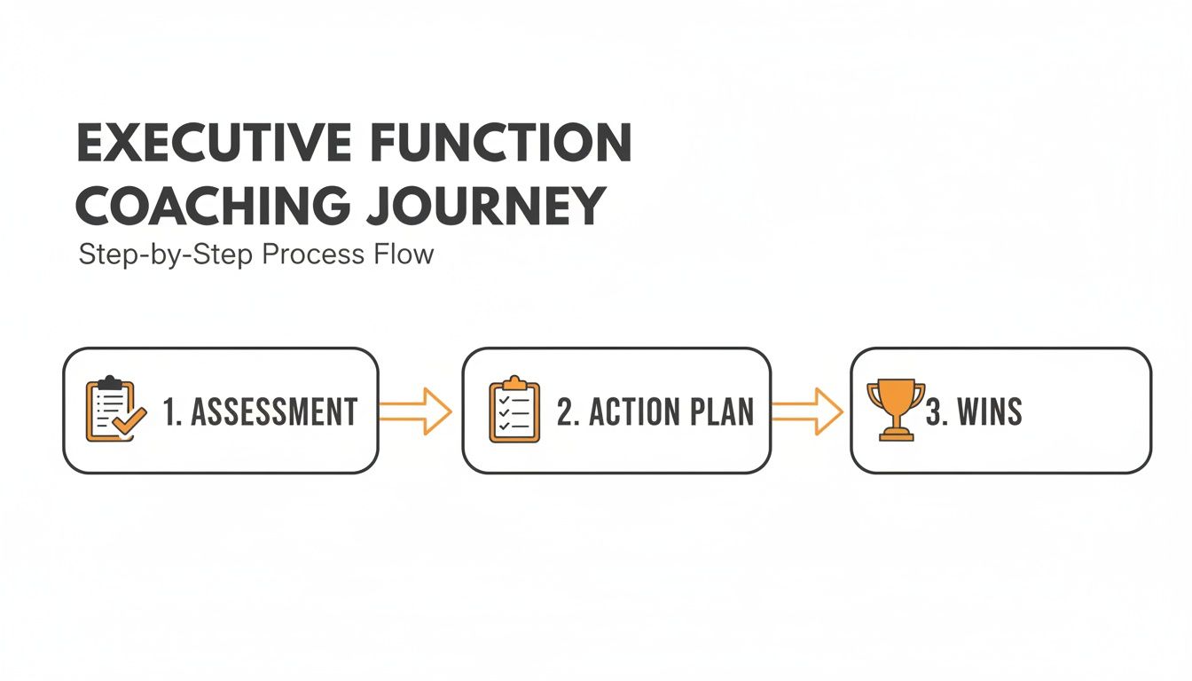 A step-by-step process flow for executive function coaching showing assessment, action plan, and wins.