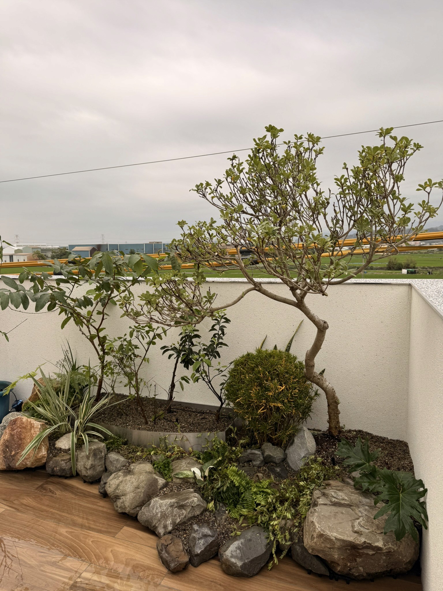 Portfolio project image