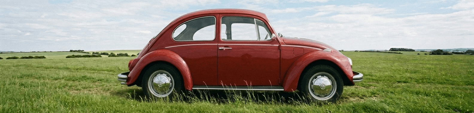 Red vintage volkswagen beetle parked on grass.
