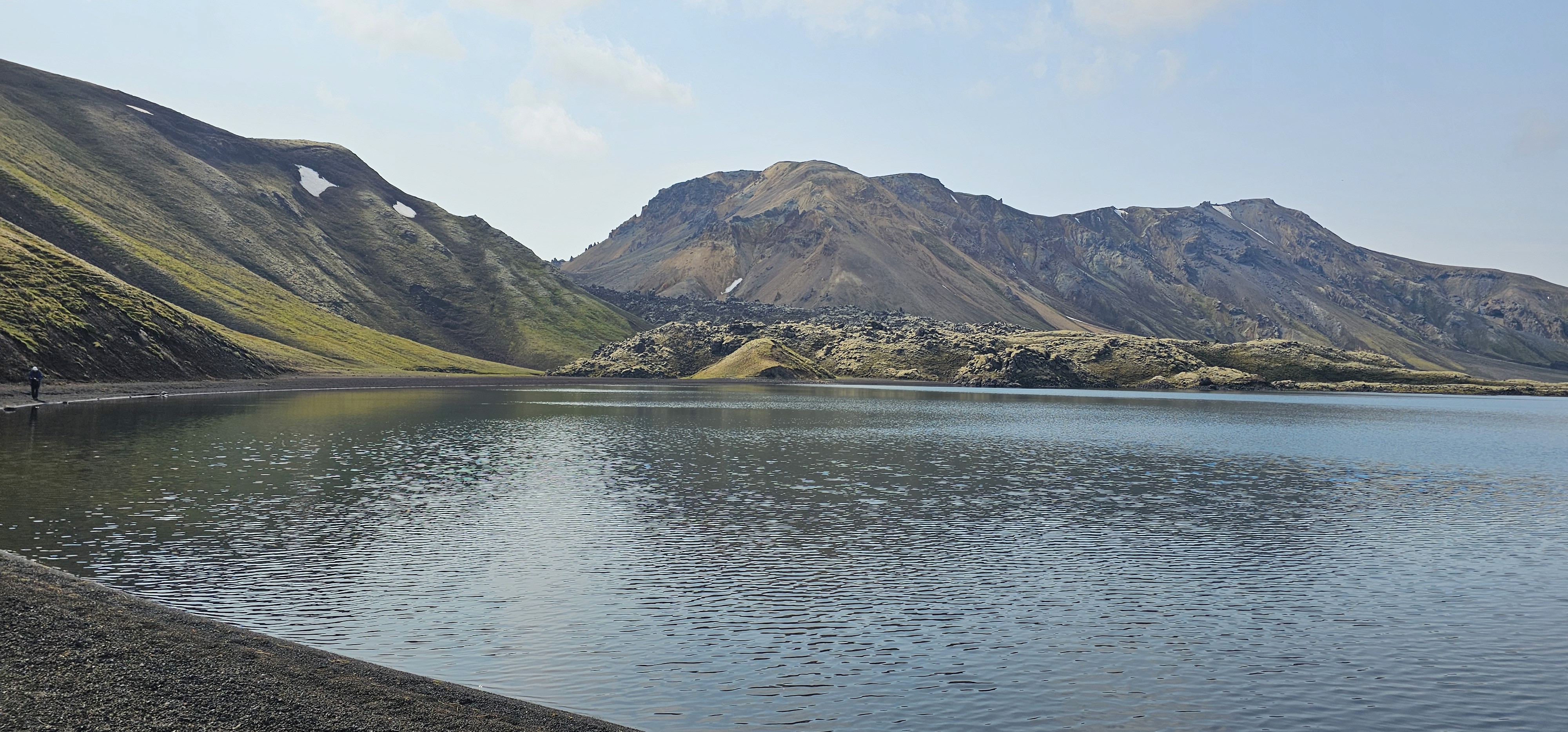 Island, Brown Trout, Arctic char, fjeldørred