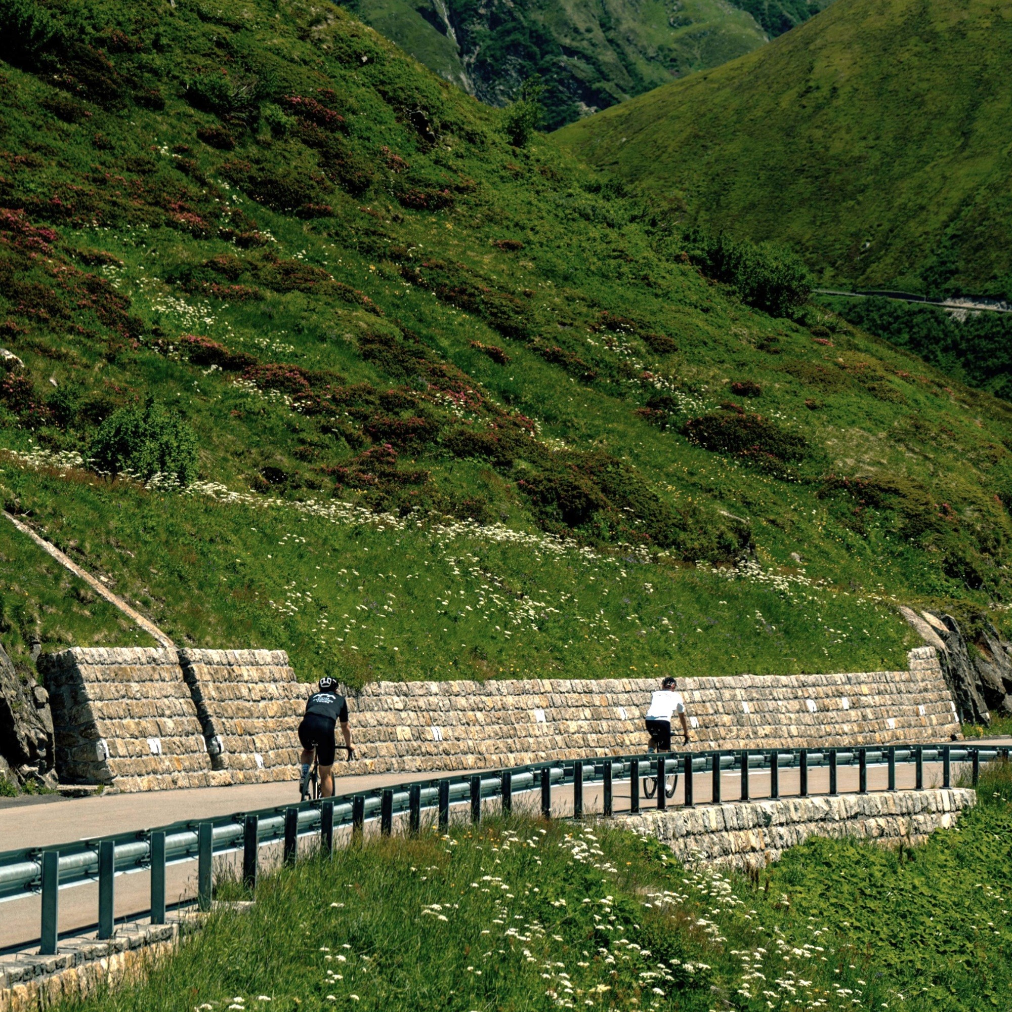 Cyclists climbing a quiet mountain road in the Swiss Alps
