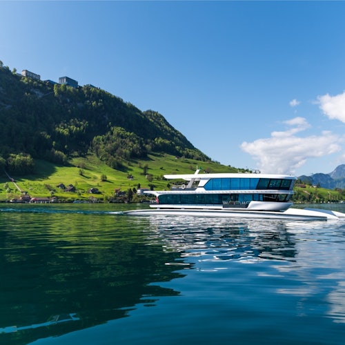 1-Hour Catamaran Cruise on Lake Lucerne tickets in Lucerne