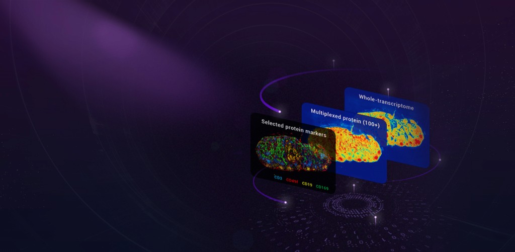 Image of sequencers