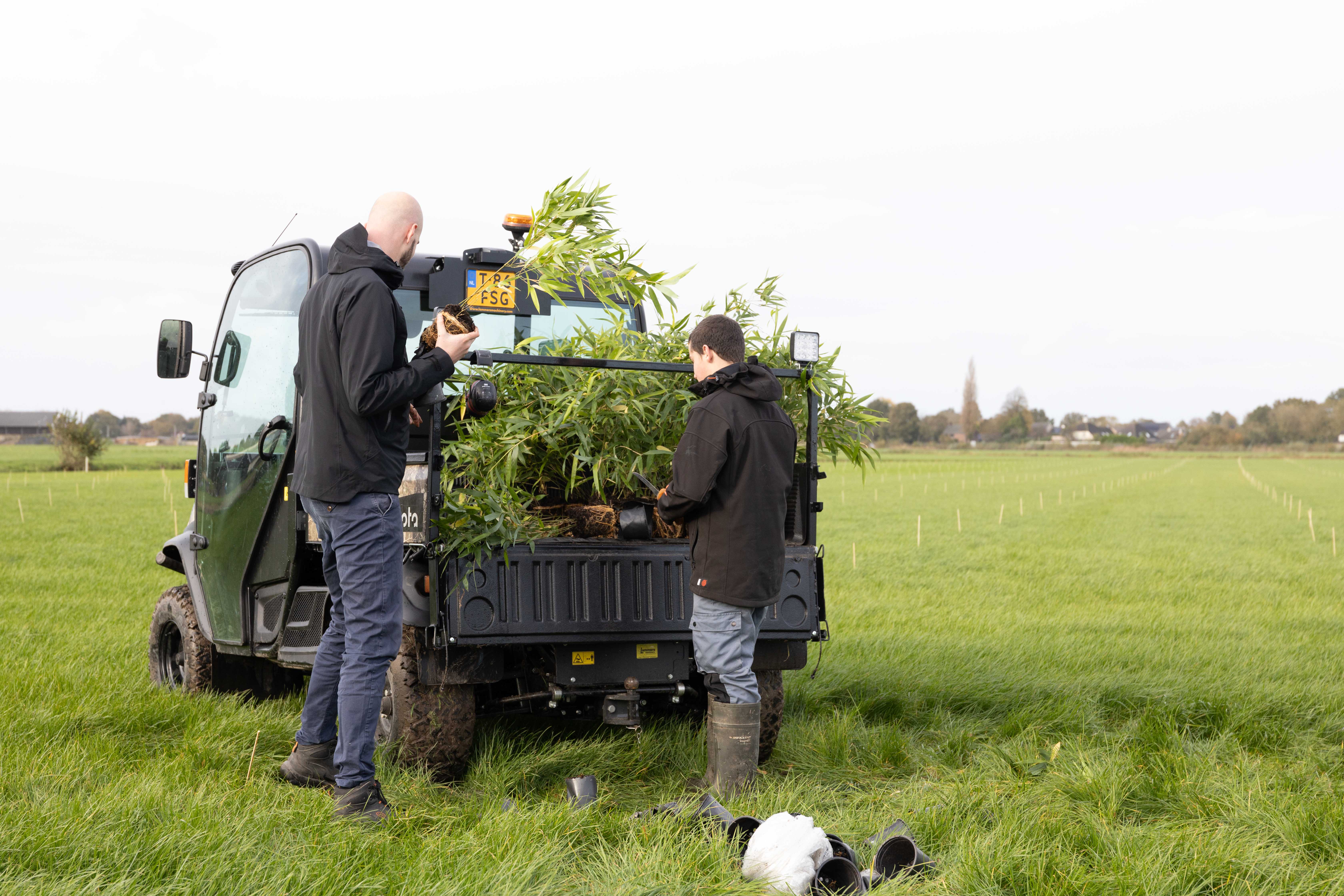 bamboofarm_nederland_haps