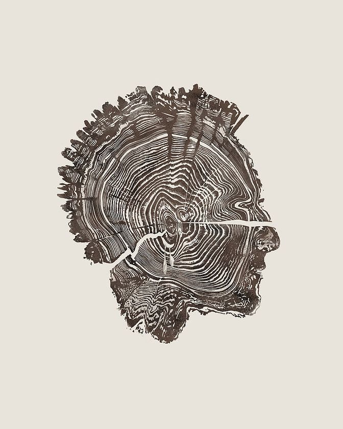 Illustration of a human face profile formed from tree rings and wood grain