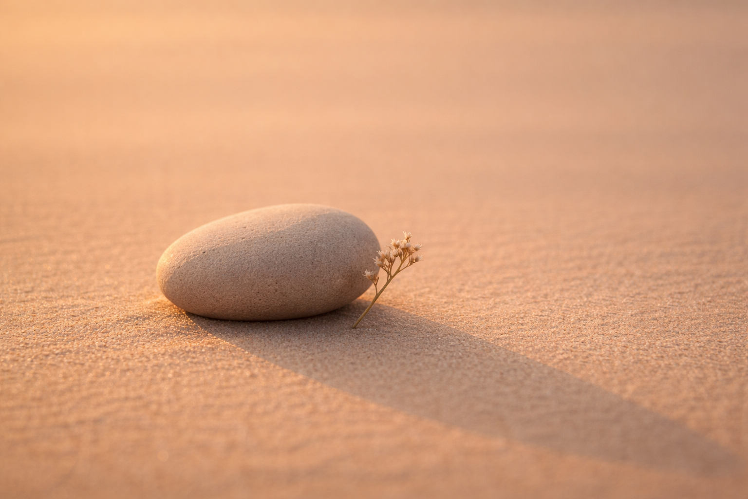 Imagen blog epidemia silenciosa de la soledad