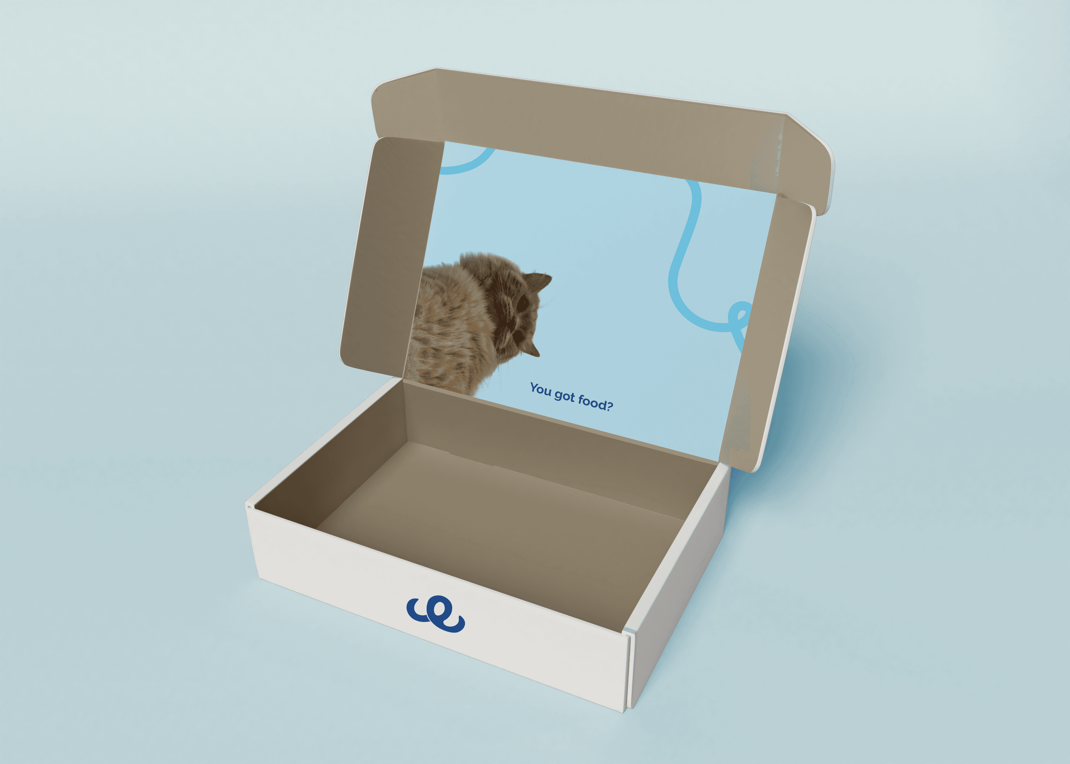 Packaging Box