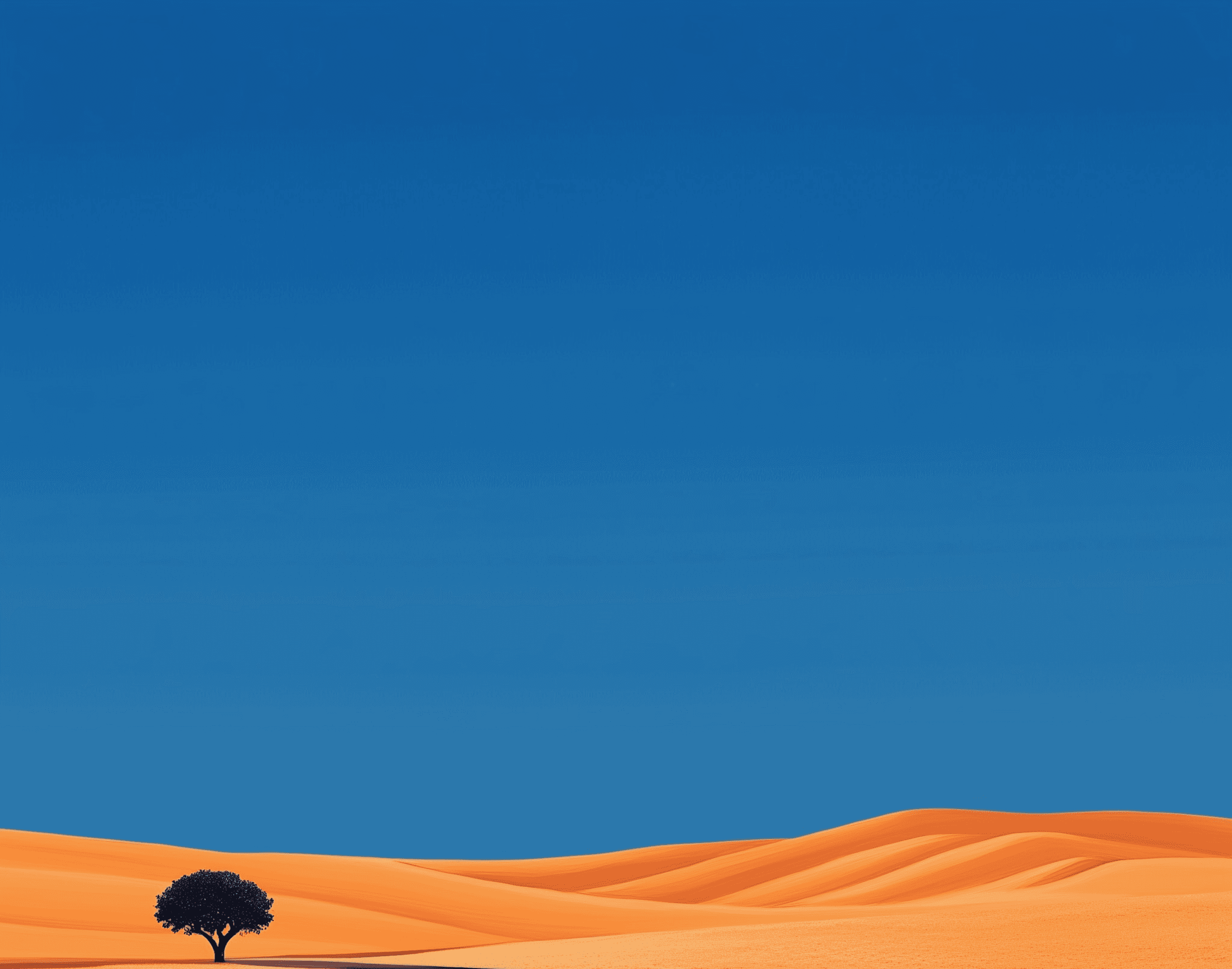 desert view