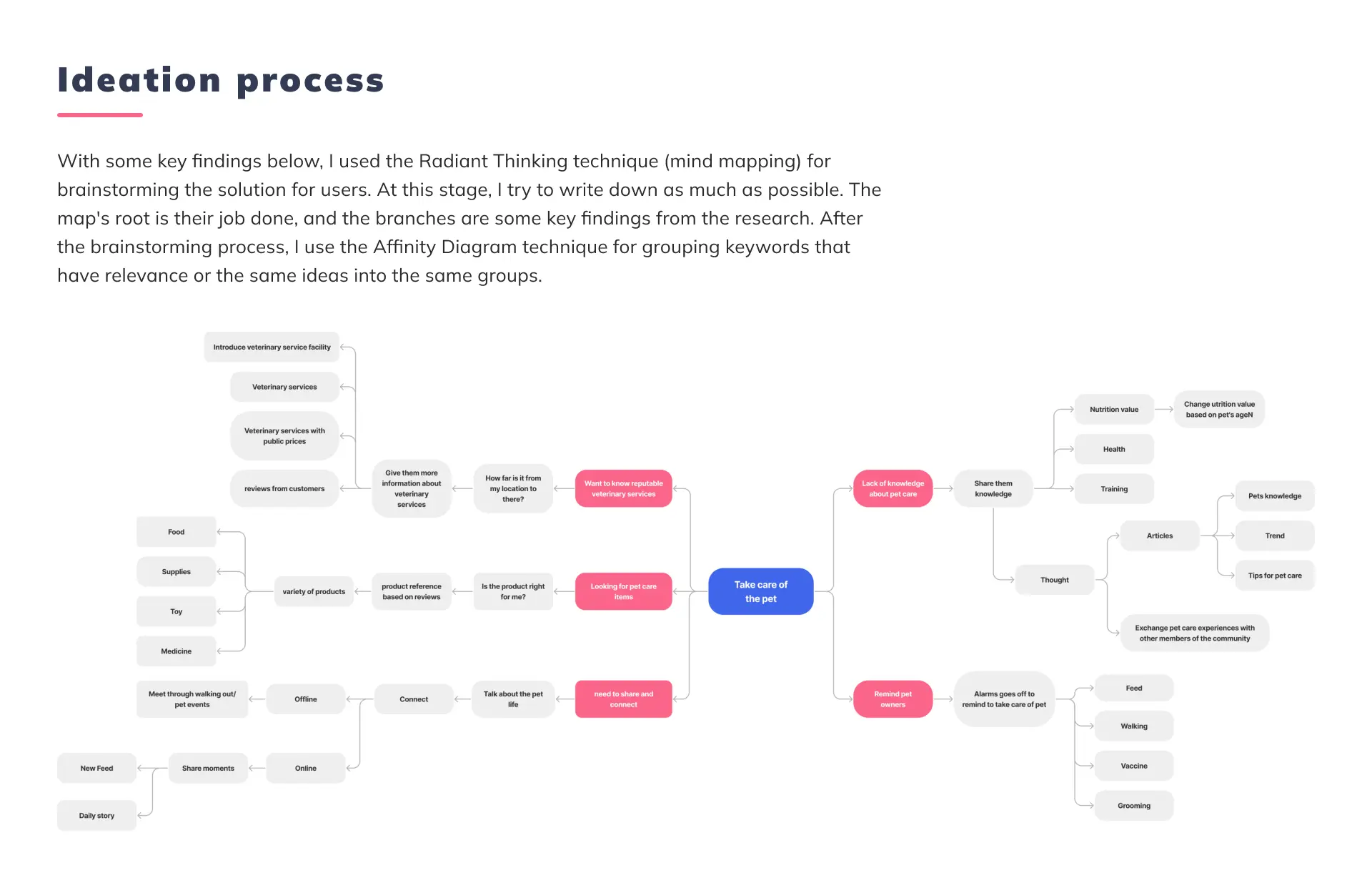 ideation process UX UI Case Study Hapi Pet - Nguyen Tan Toan Product Design