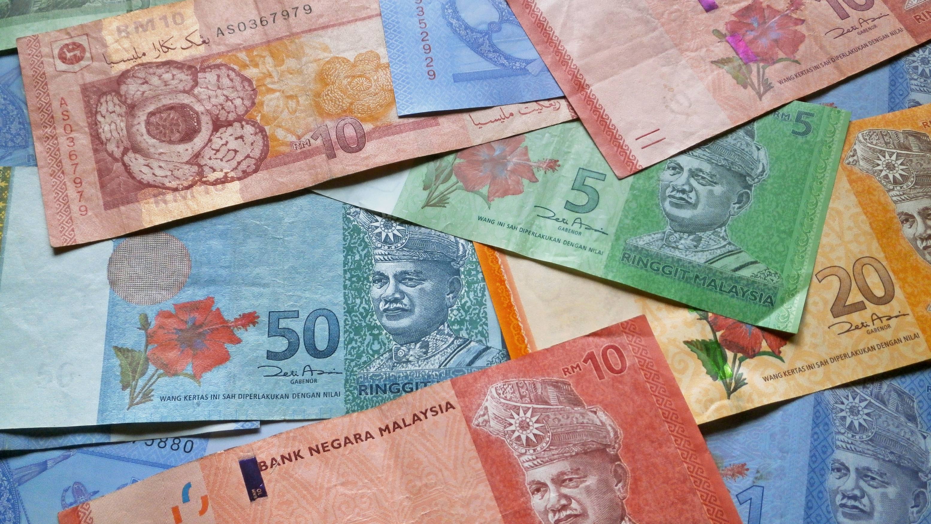 马来西亚林吉特钞票