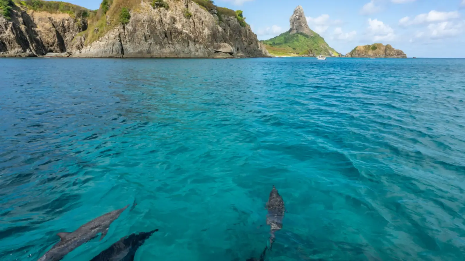 Fernando de Noronha