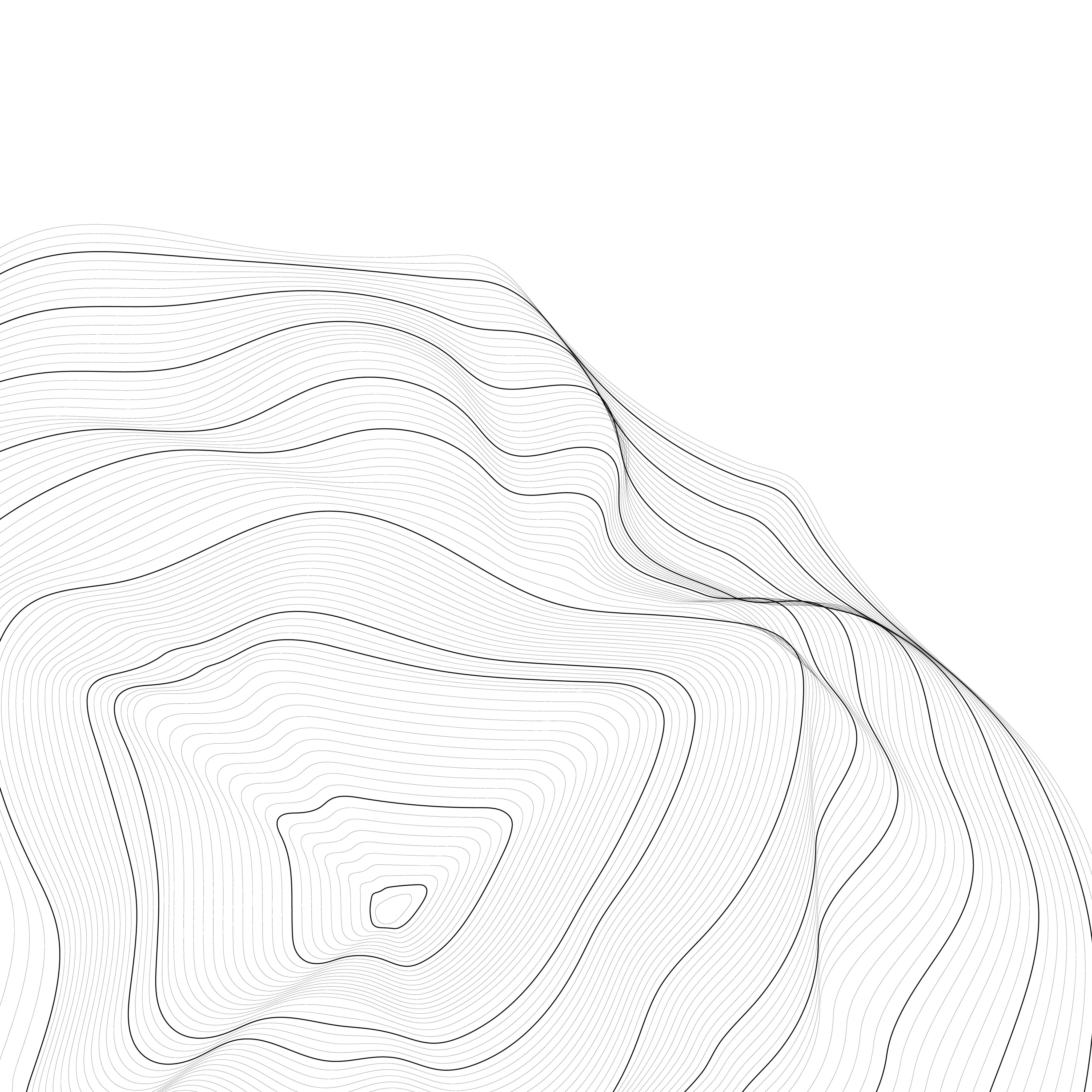 Minimal topographic line illustration representing digital landscape