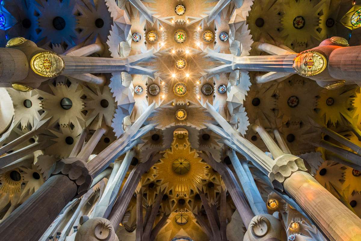 Interior view looking up at the intricate stone vaulted ceiling and pointed arches of a Gothic cathedral.