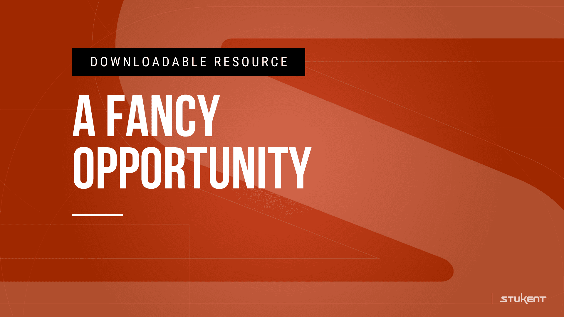 Downloadable assignmnent: A Fancy Opportunity