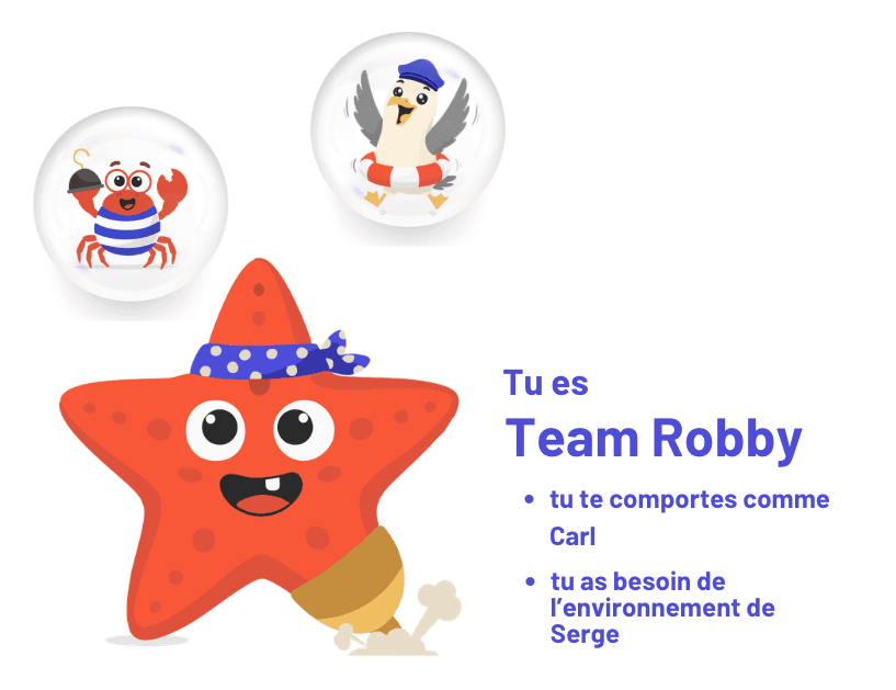 Profil professionnel schémas