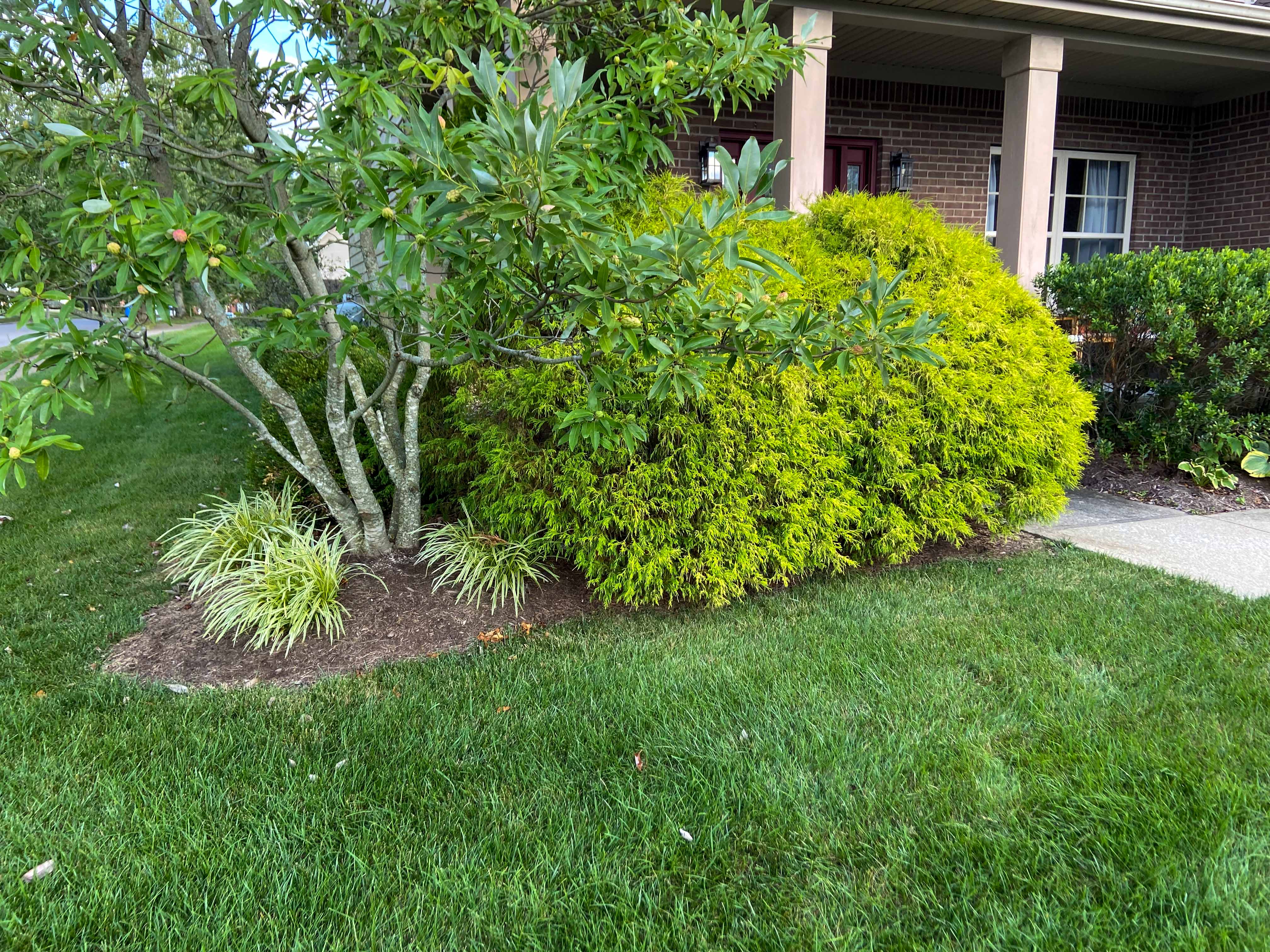 native kentucky landscaping