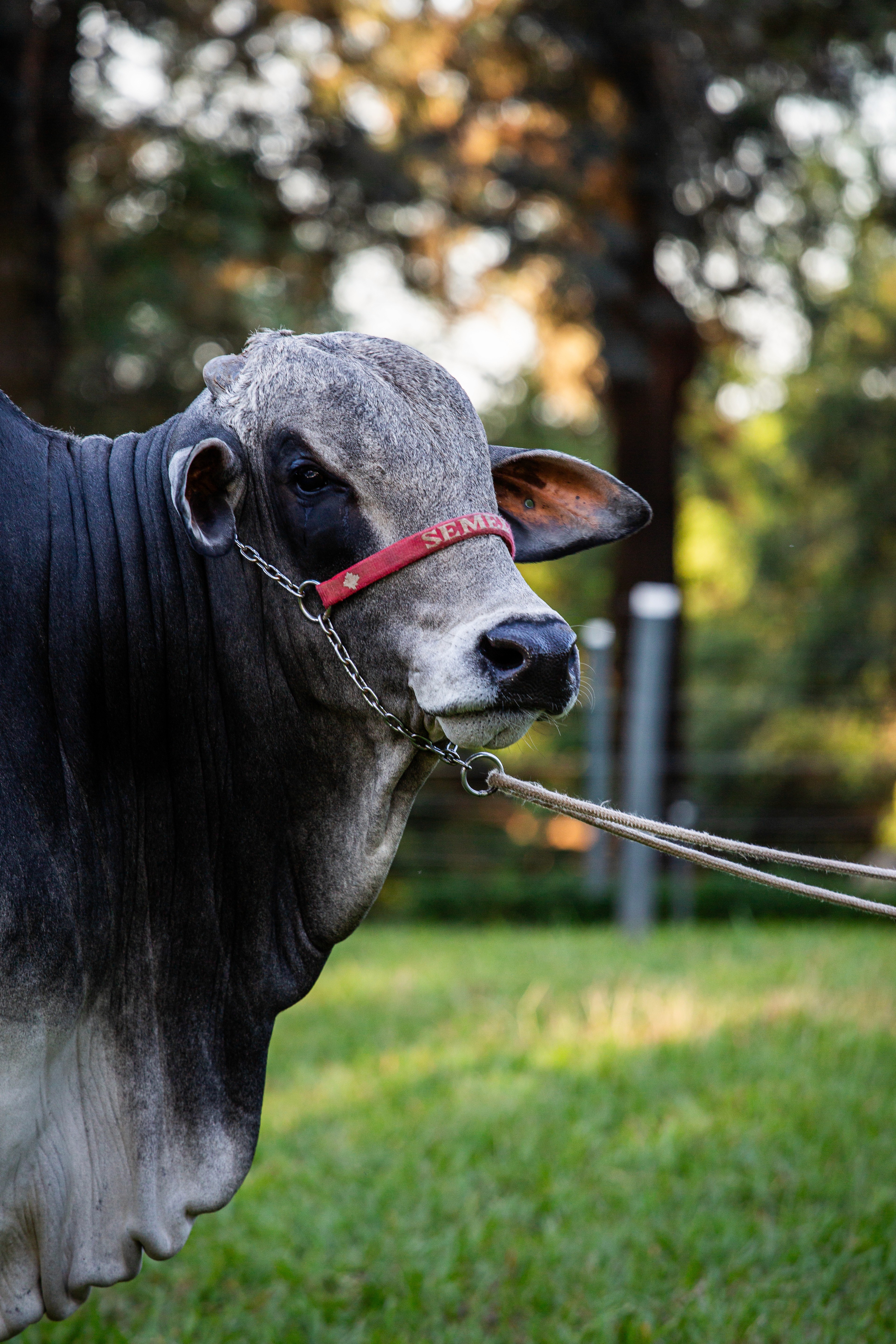audience in a conference
