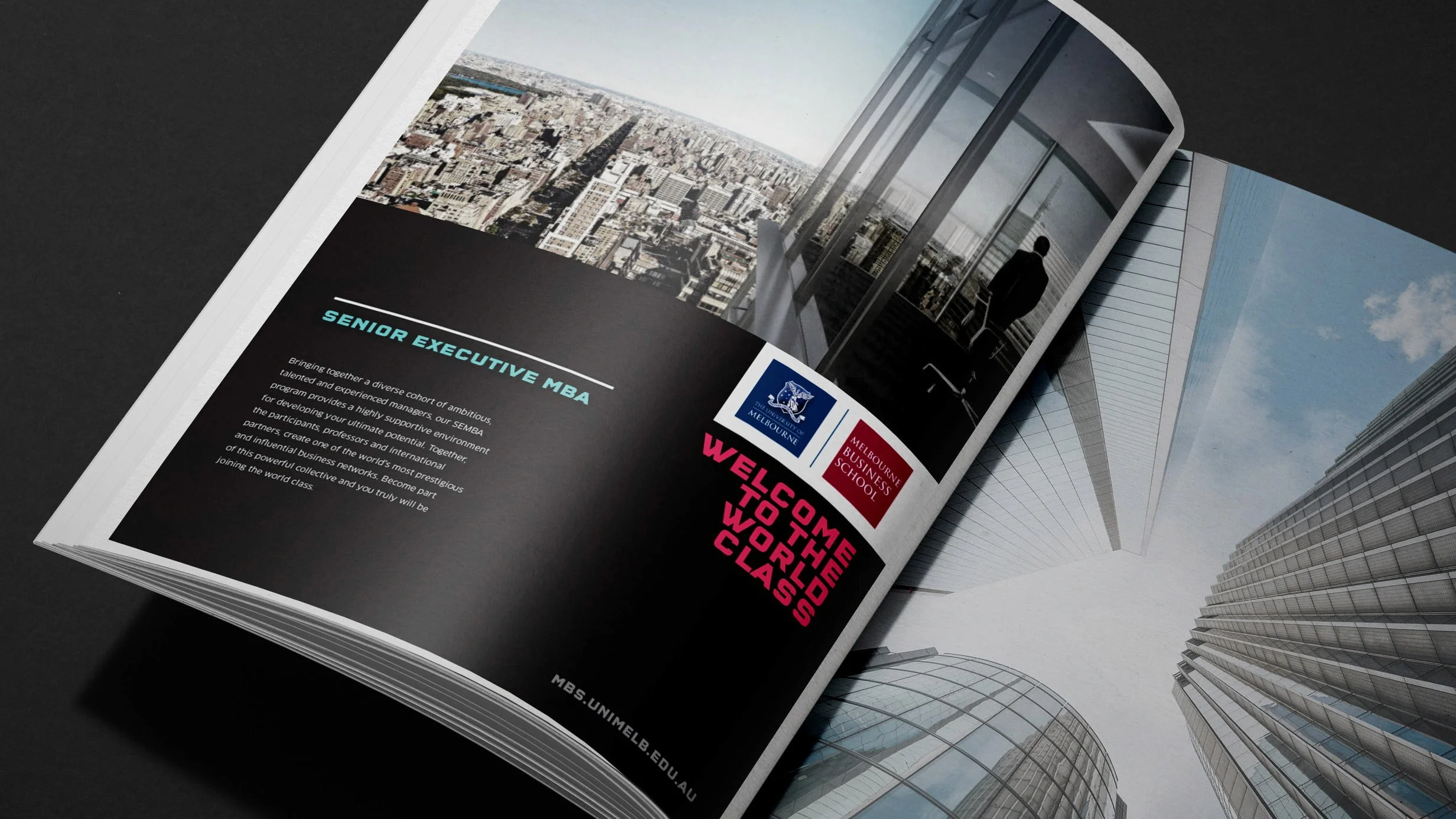 Magazine spread for the Melbourne Business School Senior Executive MBA: 'Welcome to the world class' over a city skyline