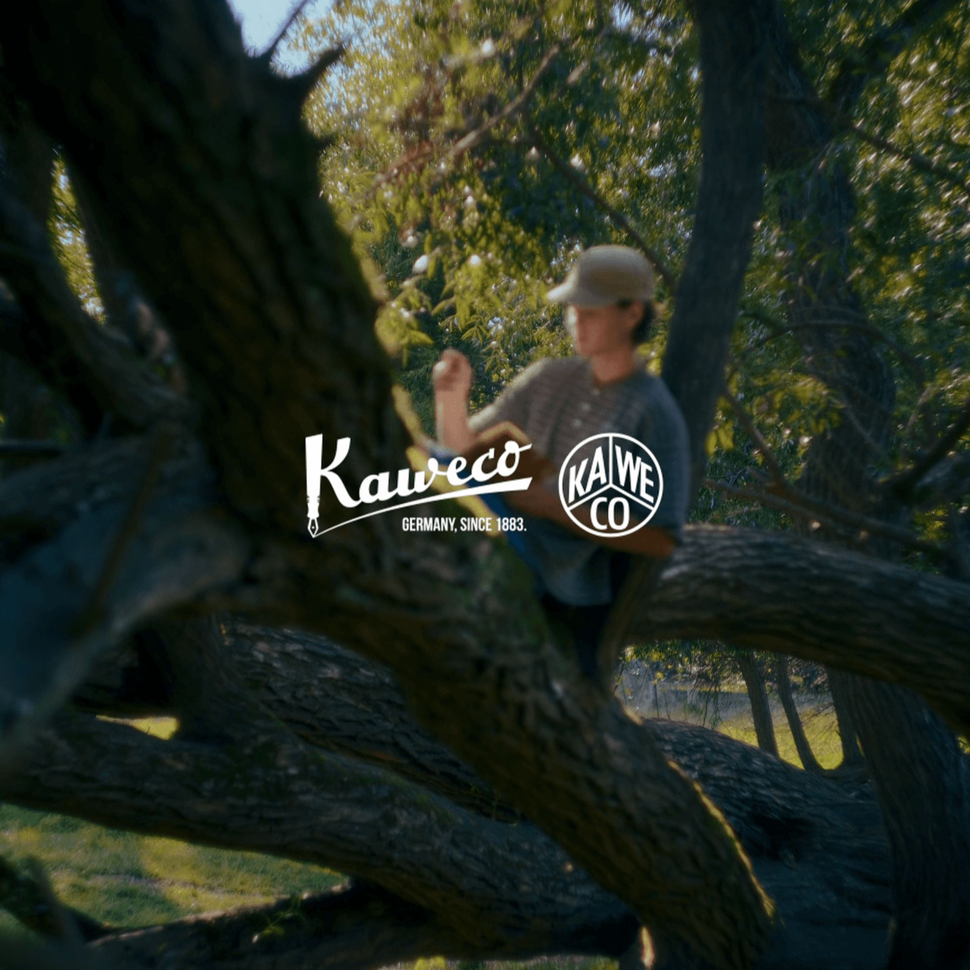 Project thumbnail