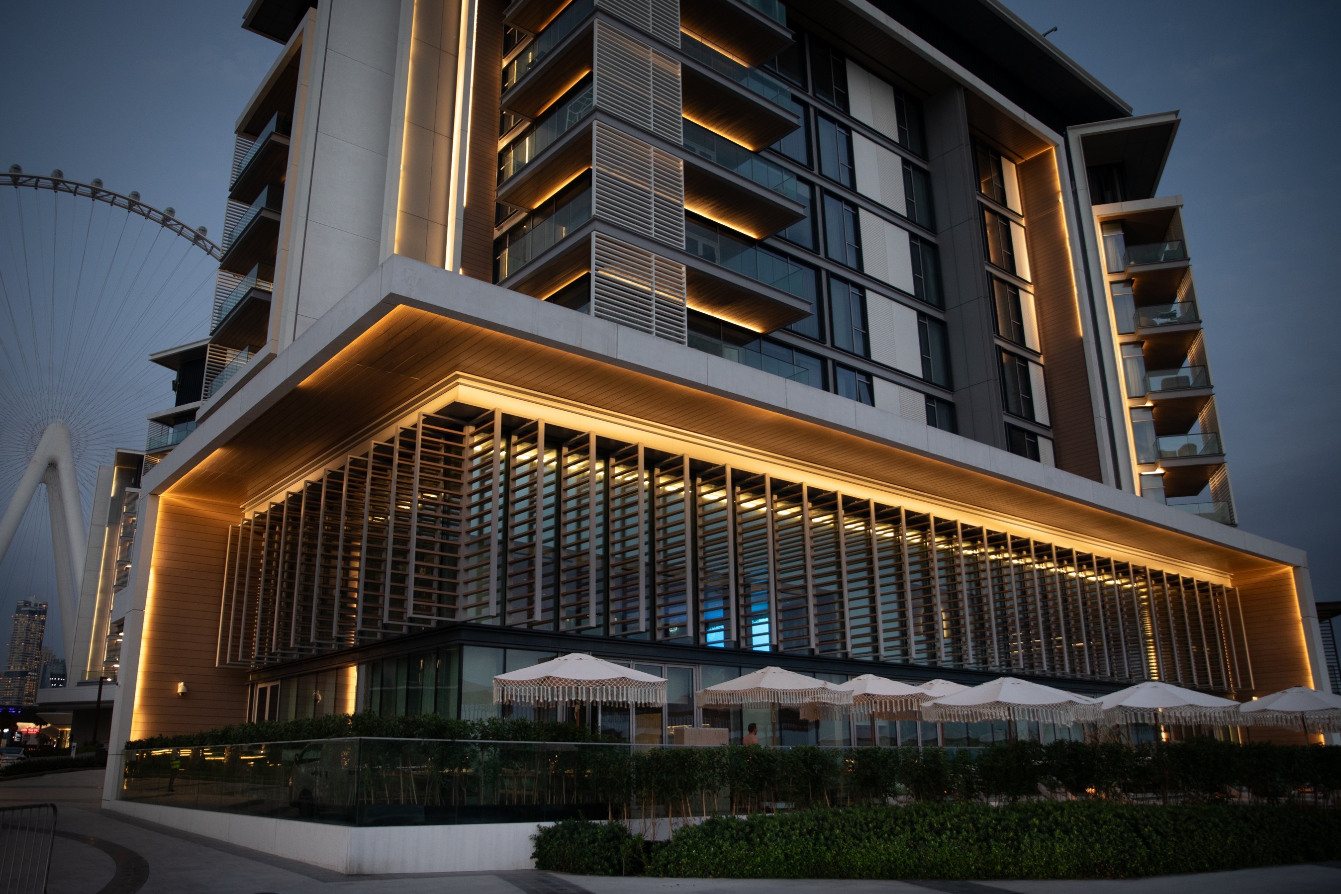 Black Woman Portrait