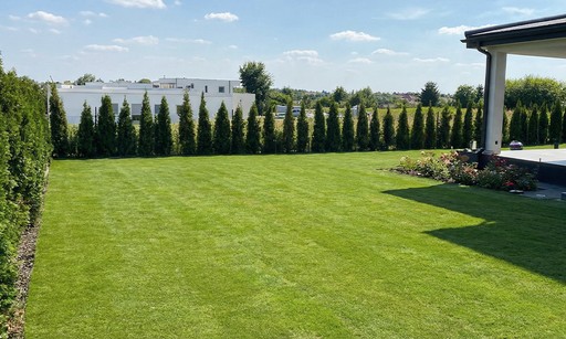 Działka z trawnikiem