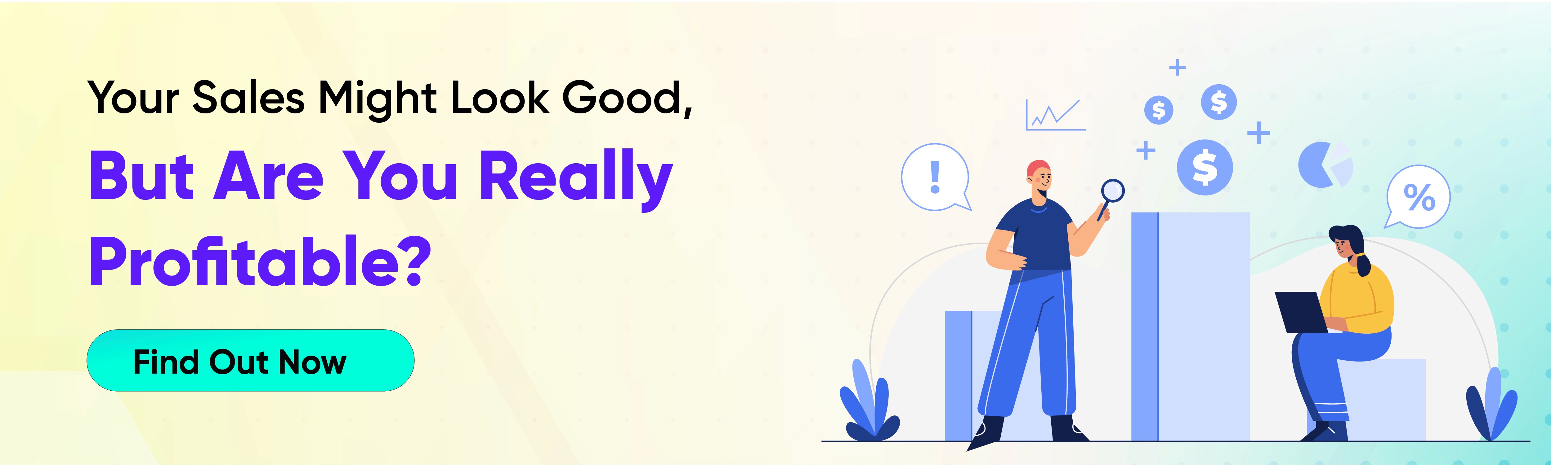 Shopify Dropshipping Profit