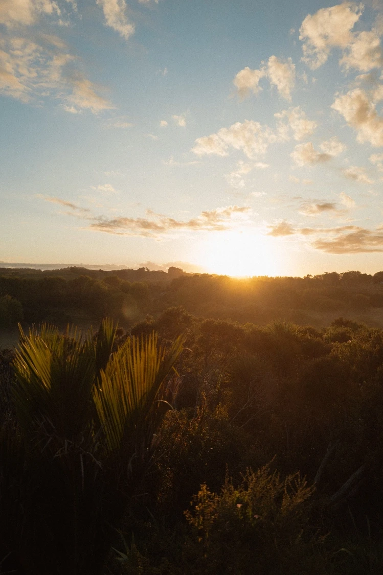 Sunset over lush hills in Solothurn, showcasing nature's artful luxury.