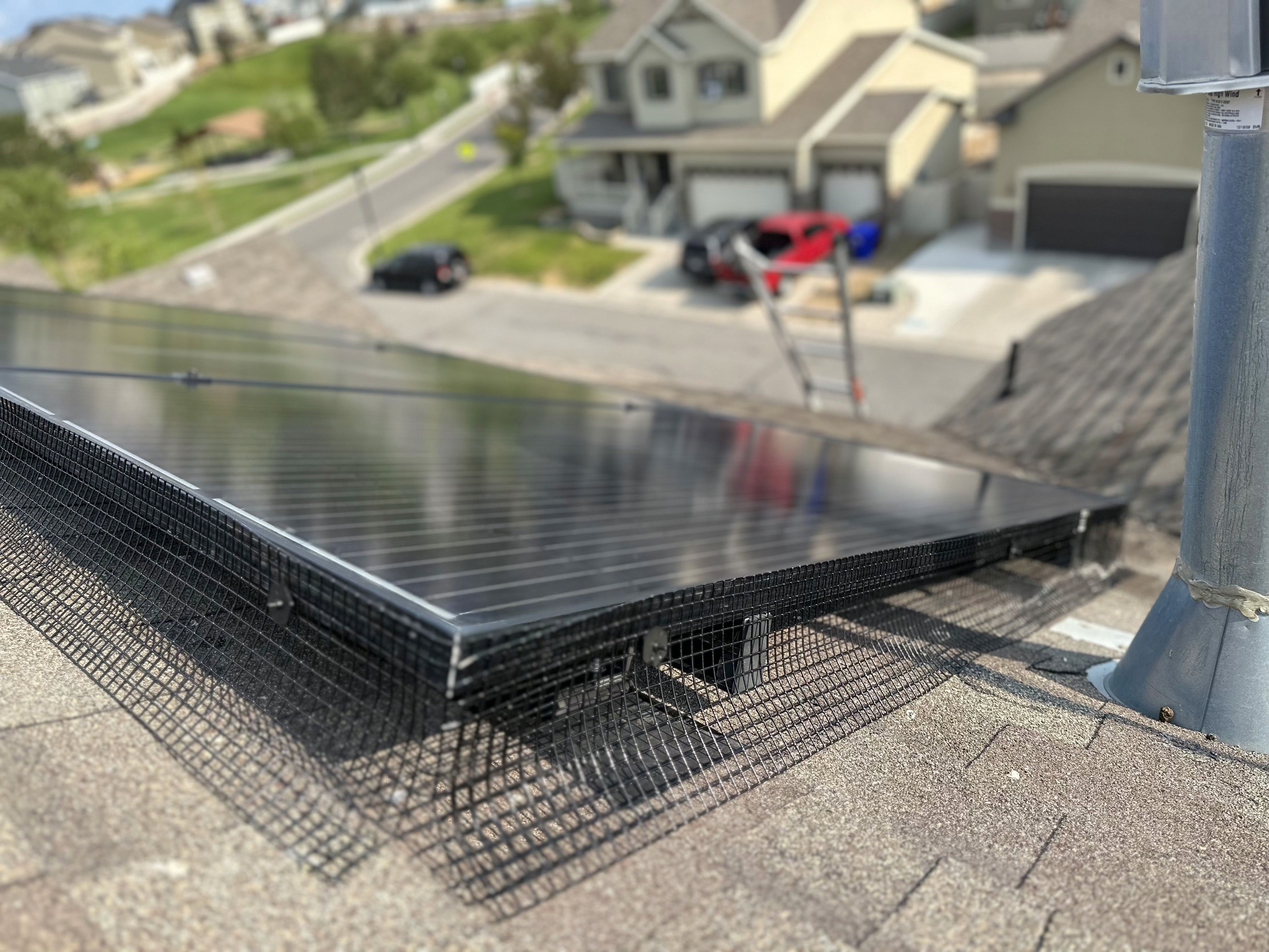 Rooftop solar array protected with critter guard mesh
