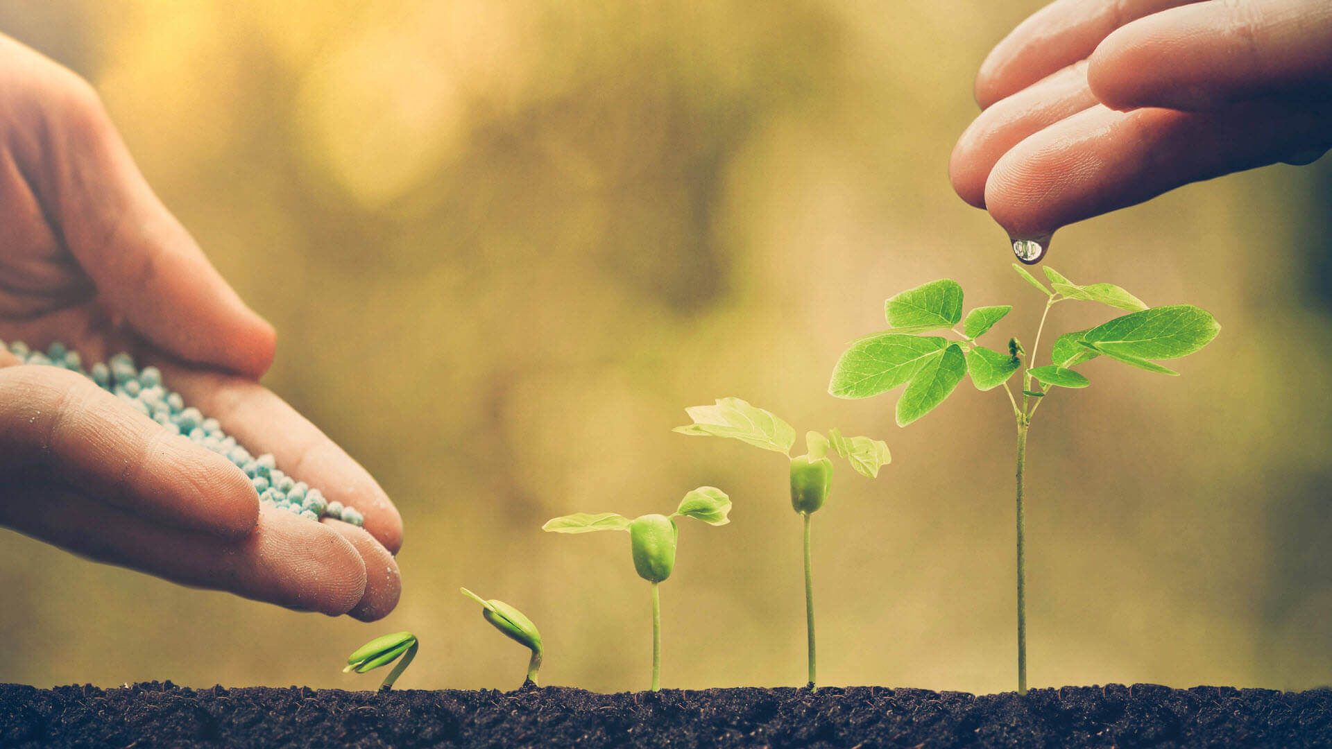 B2B Lead Nurturing Strategy Guide