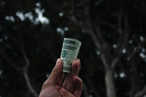 Ripple's $RLUSD To Be Accepted By BlackRock and VanEck's Tokenized Funds, Partners With Securitize. Photo By Vitaly Taranov On Unsplash.
