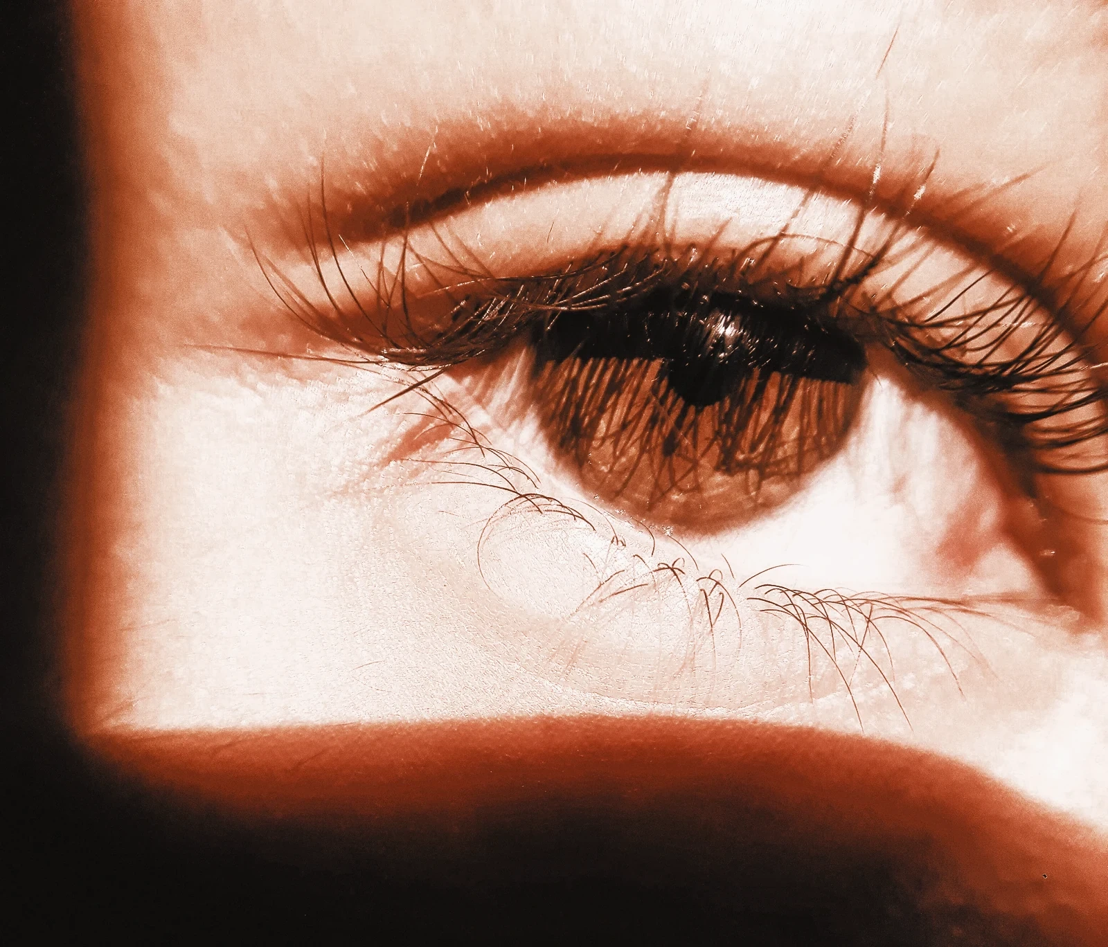 Macro of a brown eye