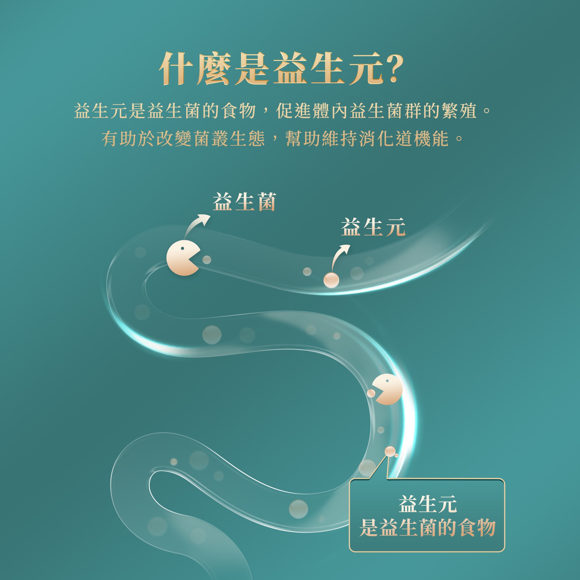 欣樂飲