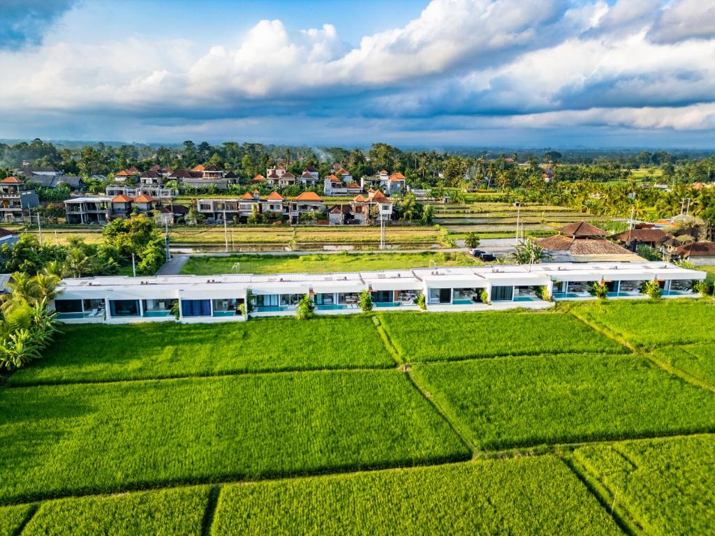 1-bedroom villa with infinity pool in Ubud