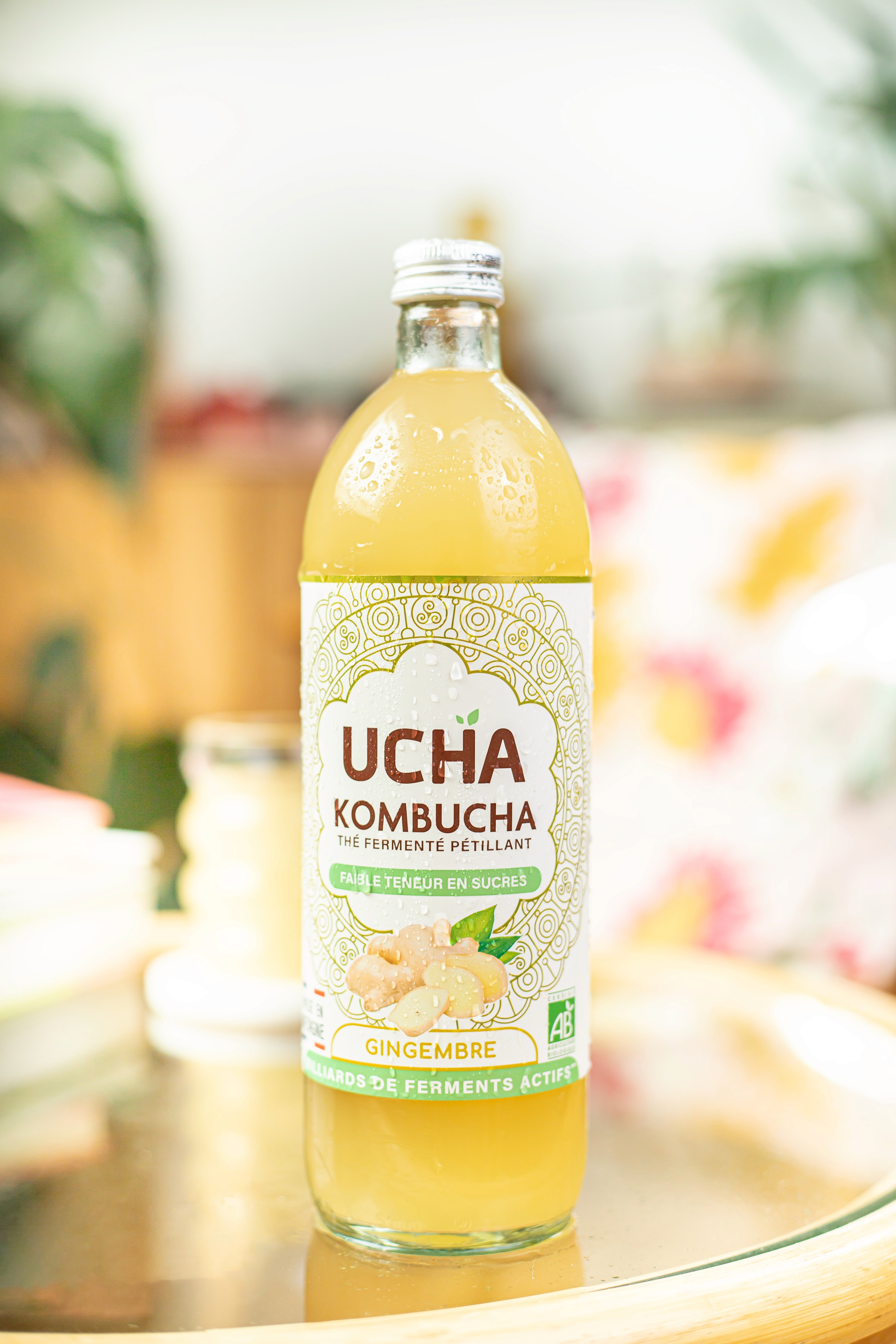 Le kombucha c'est quoi ?