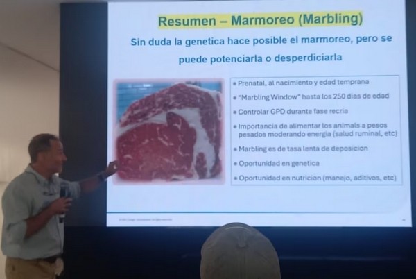 “Con marmoleo se puede ganar hasta 20% más”: el mensaje de un nutricionista para la ganadería argentina - Image 4