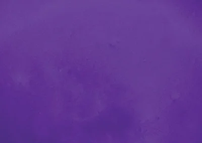 Metallic Color Samples - Concord Grape