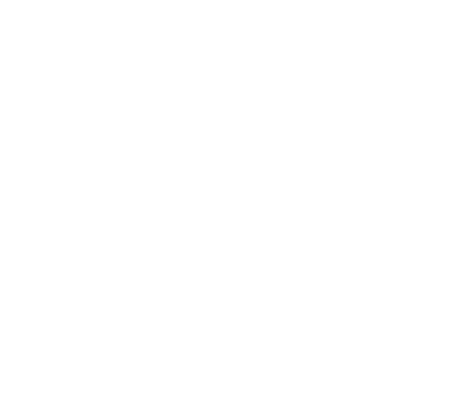 Digital Commerce Finland logo