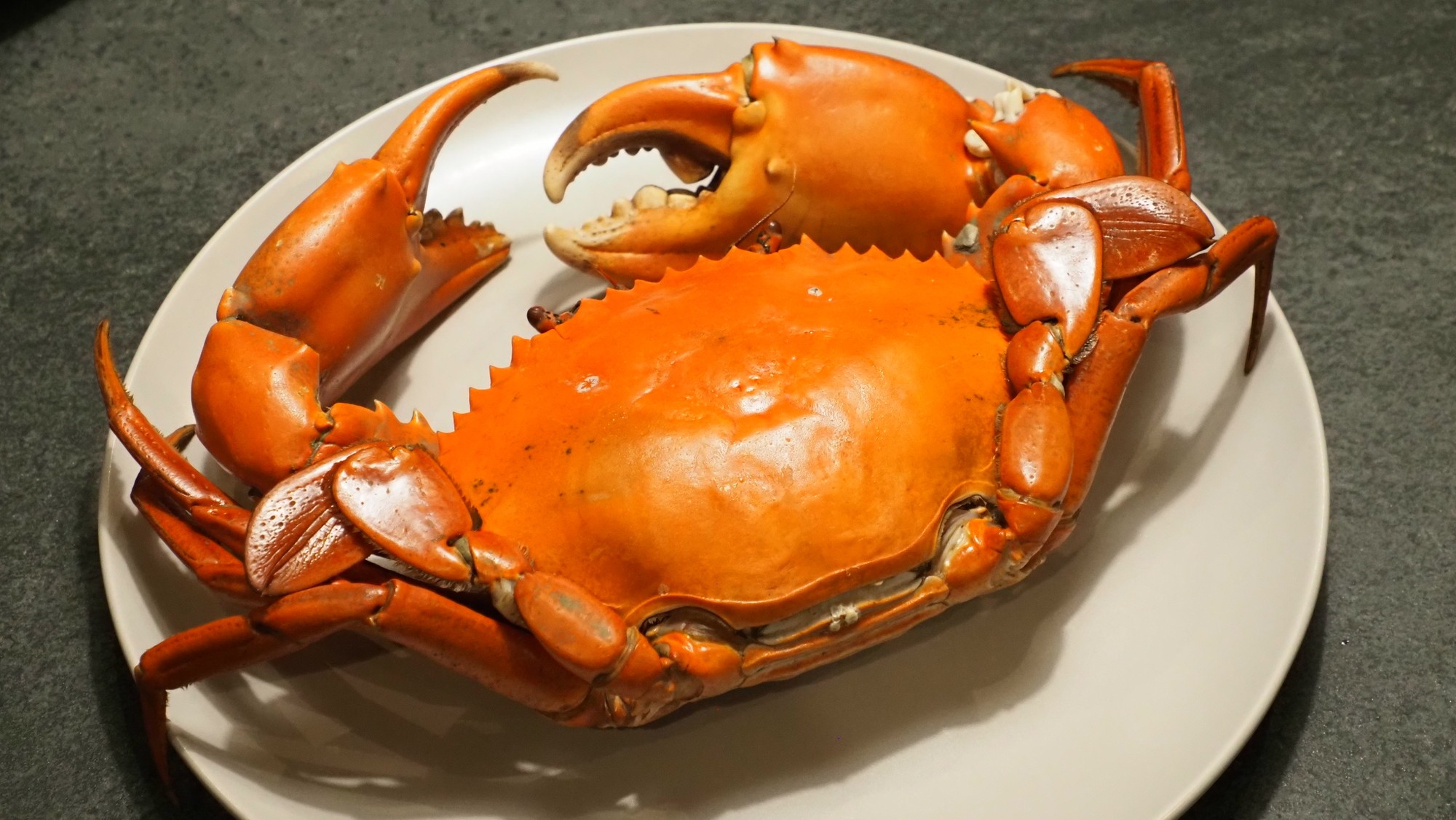 Shrimp ceviche with lime and toasted bread.
