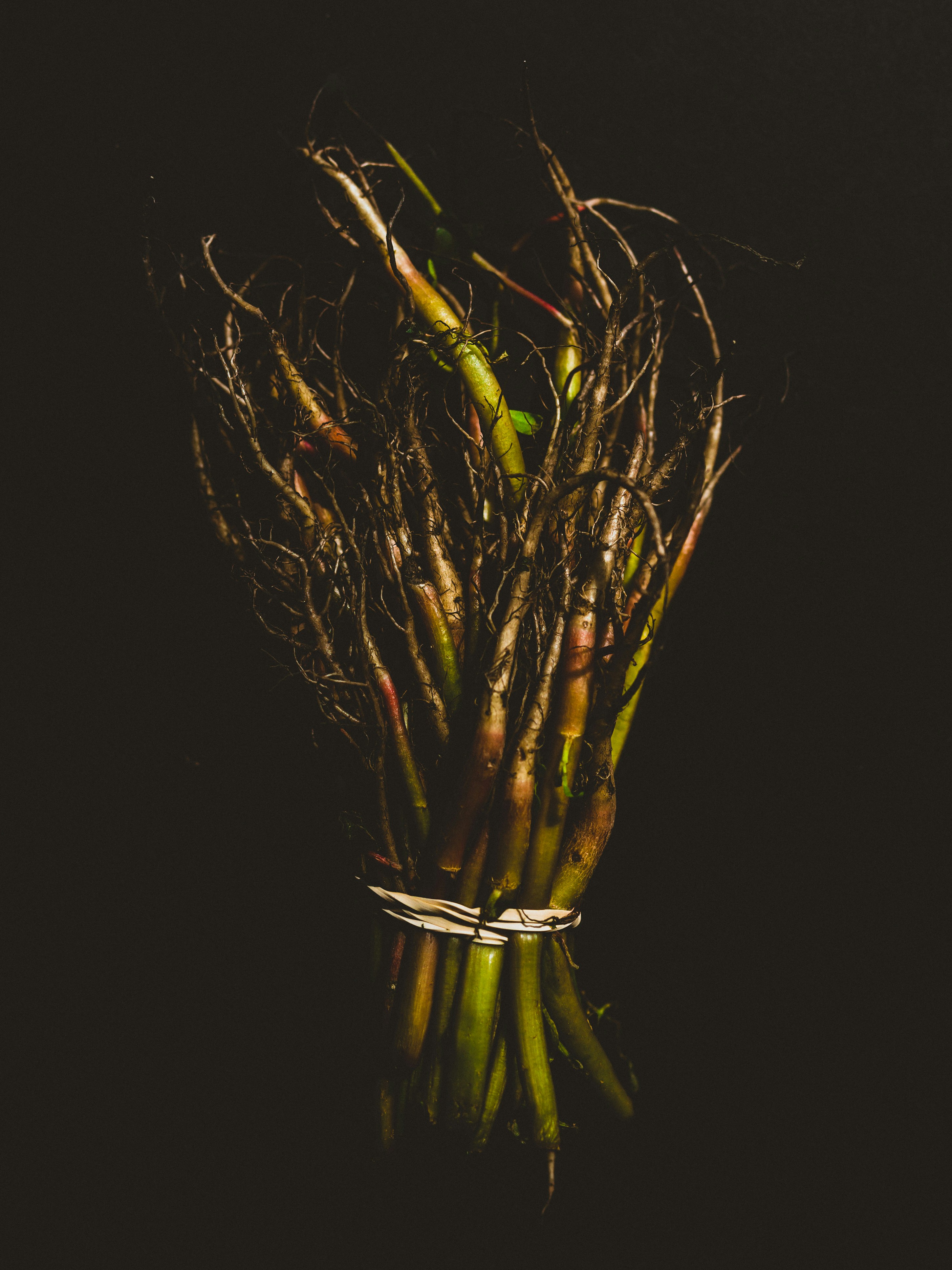 a vase with yellow flowers
