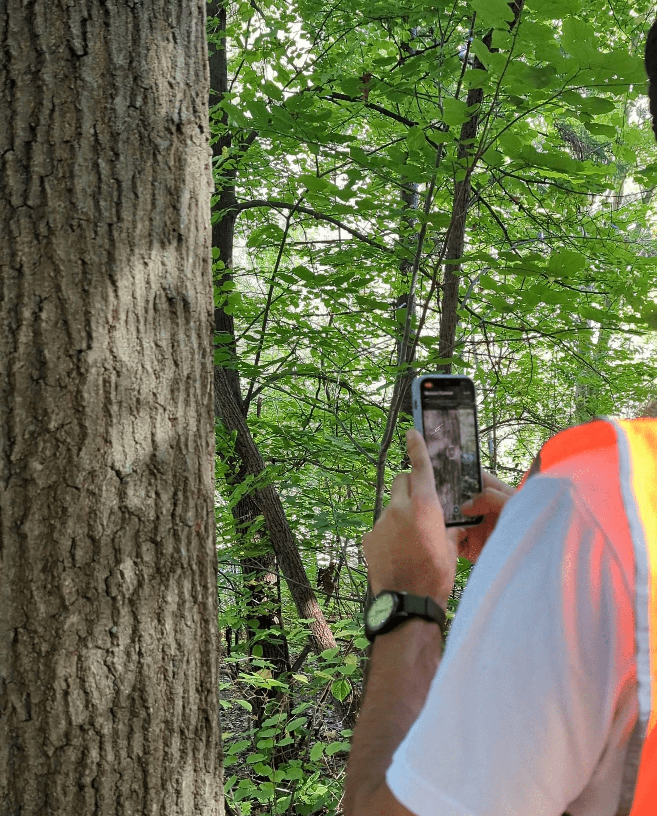 A winding road cuts through rocky terrain, surrounded by patches of green grass and illuminated by sunlight.