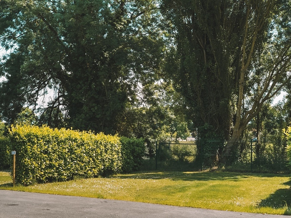 Emplacement tentes & caravanes