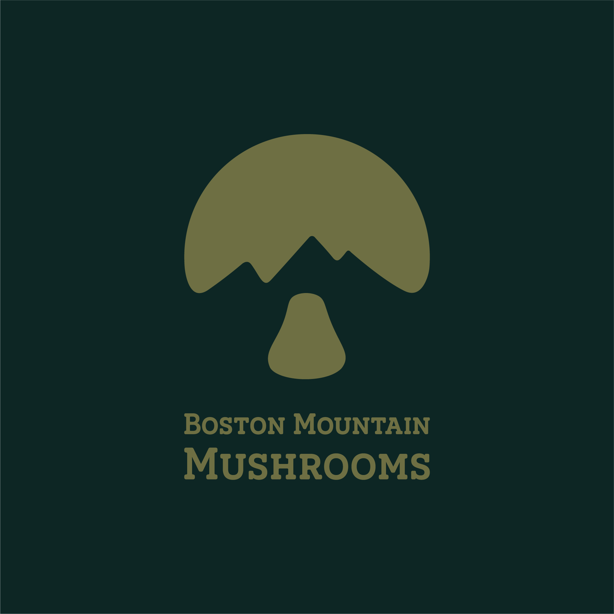 Boston Mountain Mushrooms