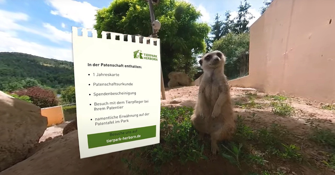 Erdmännchen sitzt neben Schild
