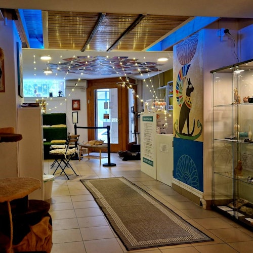 Museo dei Gatti di Budapest