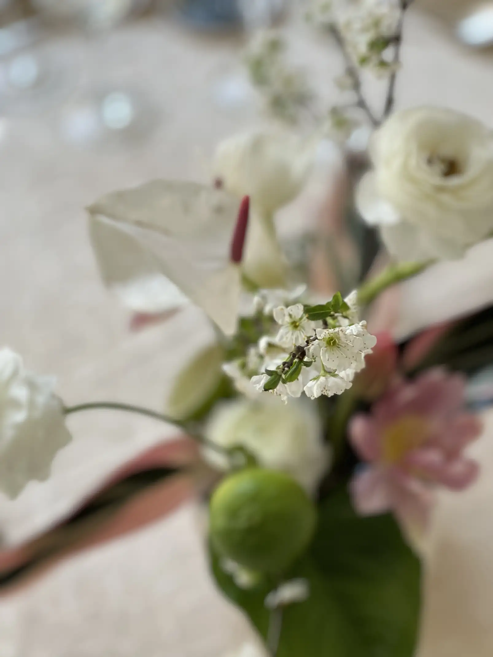 Detalle de un arreglo floral en tonos blancos y suaves rosados con ramas de pequeñas flores blancas, anthurium y limas verdes, capturado con profundidad de campo que resalta la textura y frescura de la composición.