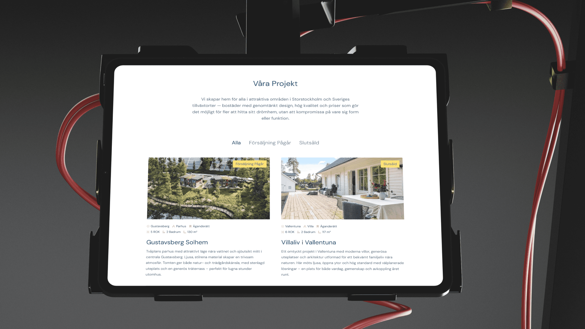 Large Project Gallery Image #1