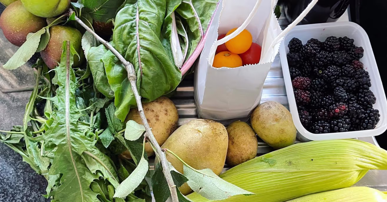 A crate of fresh produce including apples, silverbeet, potatoes, tomatoes, blackberries, corn and dandelion greens