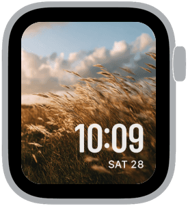 summer hush Apple Watch face preview 4 featuring summer.